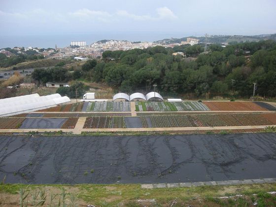 Foto 2 de Venta de terreno en Sant Cebrià de Vallalta de 40000 m²