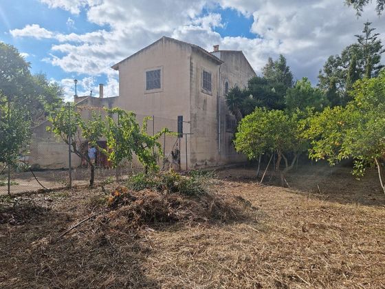 Foto 2 de Casa rural en venda a Manacor Centro de 3 habitacions amb terrassa i jardí
