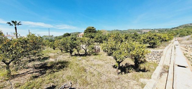 Foto 2 de Venta de terreno en Centro - Castellón de la Plana de 4800 m²