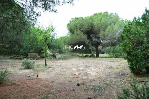 Foto 2 de Venta de terreno en Sant Andreu de Llavaneres de 2915 m²