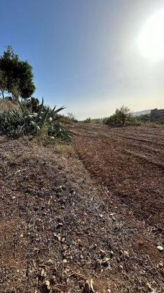 Foto 1 de Venta de terreno en Portada Verde-Lomo Espino-Guanche de 3049 m²