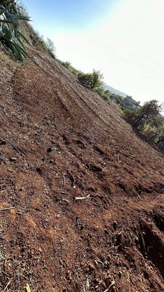 Foto 2 de Venta de terreno en Portada Verde-Lomo Espino-Guanche de 3049 m²