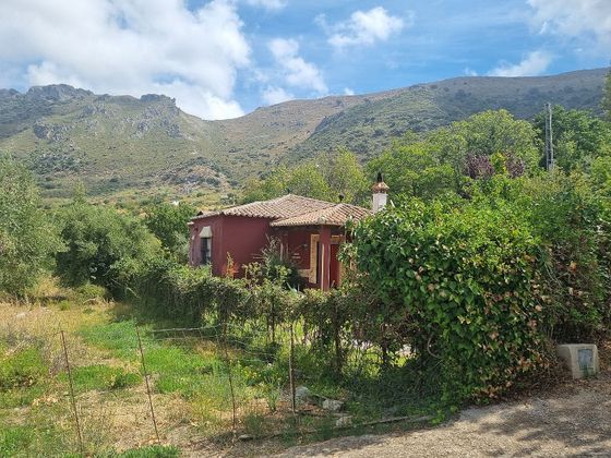 Foto 1 de Casa en venda a Algatocín de 3 habitacions amb terrassa i jardí
