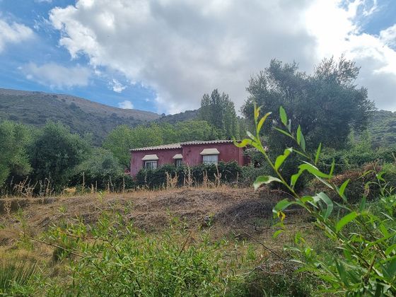 Foto 2 de Casa en venda a Algatocín de 3 habitacions amb terrassa i jardí