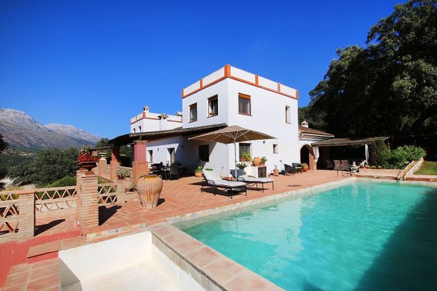 Foto 2 de Casa en venda a Benalauría de 4 habitacions amb terrassa i piscina