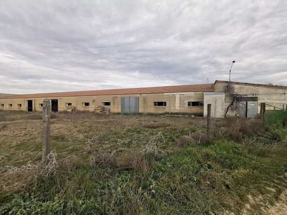 Foto 1 de Venta de terreno en Alcazarén de 11550 m²
