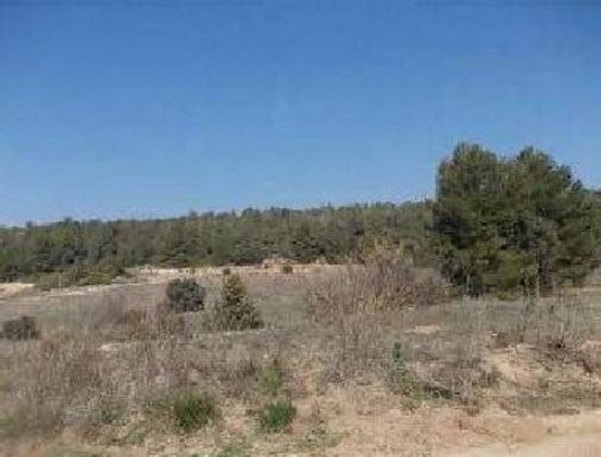 Foto 1 de Venta de terreno en Tivissa de 99034 m²