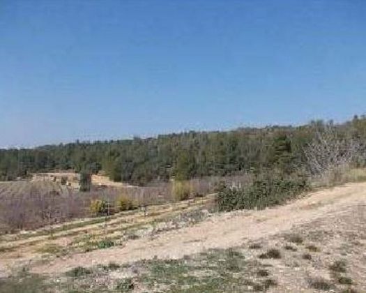 Foto 2 de Venta de terreno en Tivissa de 99034 m²