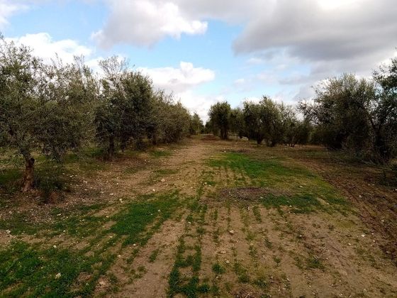 Foto 2 de Venta de terreno en Arahal de 7266 m²