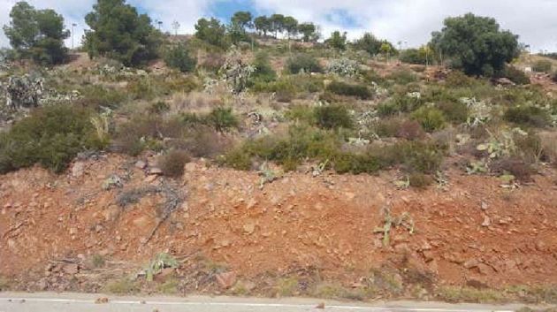Foto 2 de Venta de terreno en urbanización Cerro Salinera de 2900 m²