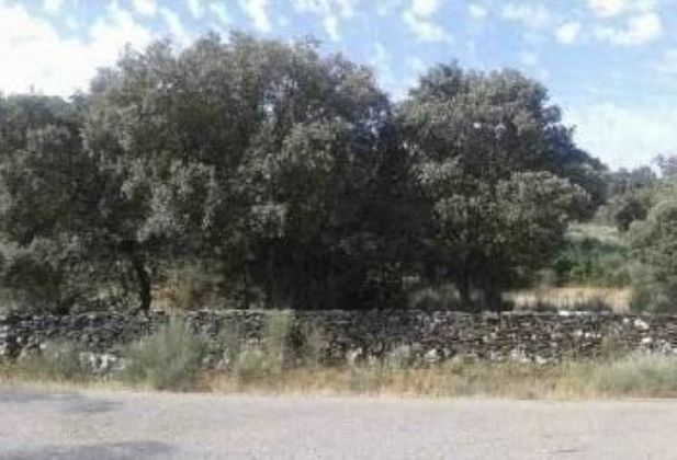 Foto 1 de Venta de terreno en polígono Sitio Monte Nuevo de 17492 m²