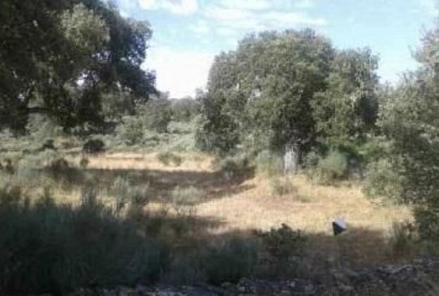 Foto 2 de Venta de terreno en polígono Sitio Monte Nuevo de 17492 m²