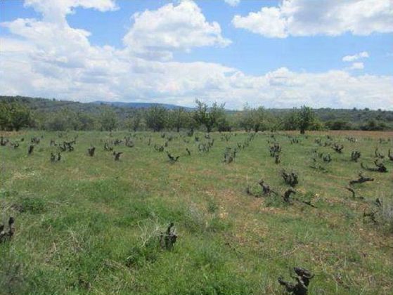 Foto 1 de Venta de terreno en Covarrubias de 3533 m²