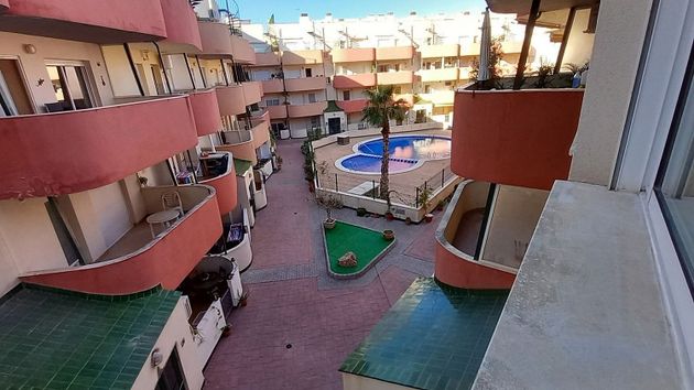 Foto 1 de Venta de piso en Almoradí de 2 habitaciones con terraza y piscina