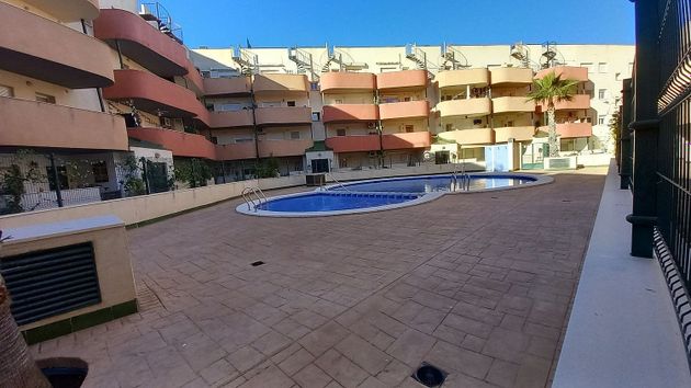 Foto 2 de Pis en venda a Almoradí de 2 habitacions amb terrassa i piscina