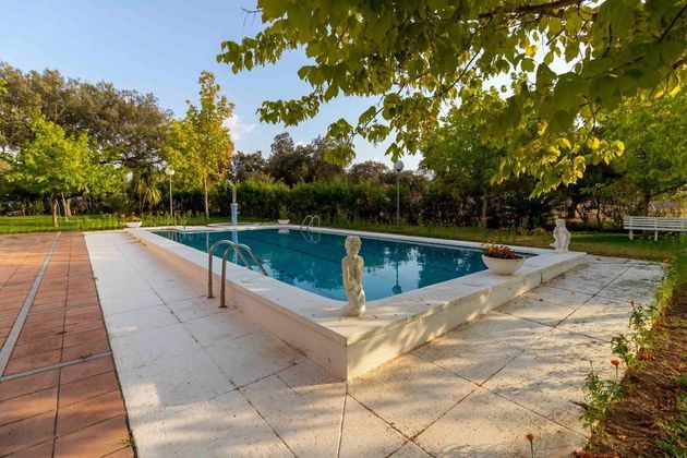 Foto 2 de Xalet en venda a Ctra de Sevilla - Ronda sur de 3 habitacions amb terrassa i piscina