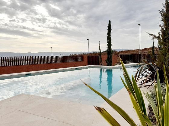 Foto 2 de Estudi en lloguer a Guadalupe amb terrassa i piscina