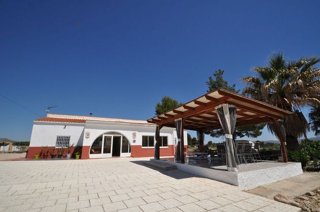 Foto 2 de Casa en venda a Villena de 5 habitacions amb piscina i jardí