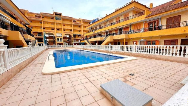 Foto 1 de Venta de casa en Torrelamata - La Mata de 2 habitaciones con terraza y piscina