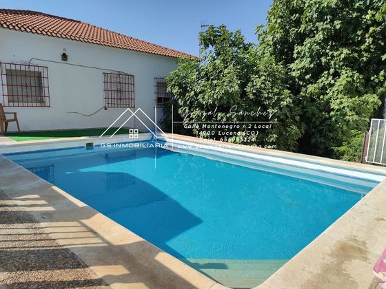 Foto 1 de Chalet en venta en Lucena de 6 habitaciones con terraza y piscina