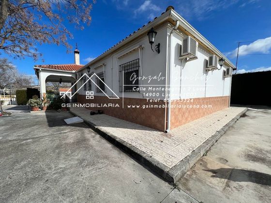 Foto 2 de Xalet en venda a Lucena de 5 habitacions amb terrassa i piscina