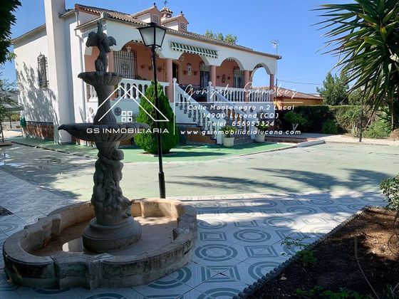 Foto 2 de Xalet en venda a Lucena de 4 habitacions amb piscina i jardí