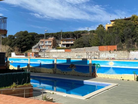 Foto 2 de Piso en venta en Els Pins de 2 habitaciones con piscina y jardín