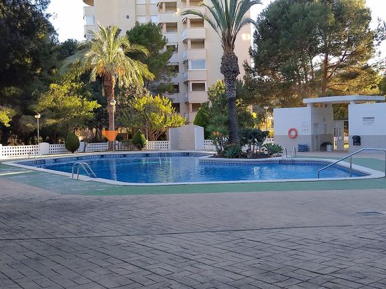Foto 1 de Pis en venda a Dehesa de Campoamor - La Regia - Aguamarina de 1 habitació amb terrassa i piscina