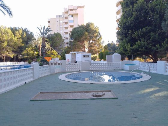 Foto 2 de Pis en venda a Dehesa de Campoamor - La Regia - Aguamarina de 1 habitació amb terrassa i piscina