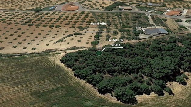 Foto 2 de Venta de terreno en Vall d´Alba de 250117 m²