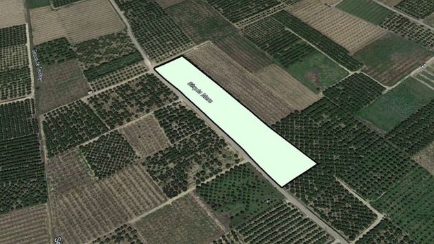 Foto 1 de Venta de terreno en Benimuslem de 10969 m²