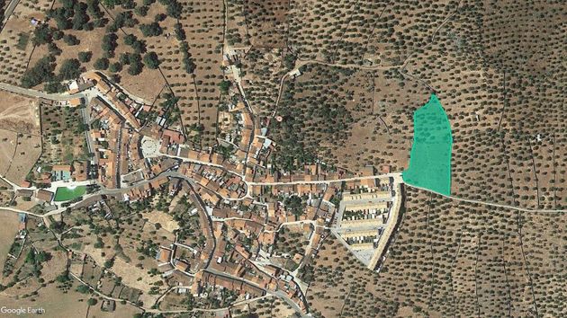 Foto 1 de Venta de terreno en Cañaveral de León de 6779 m²
