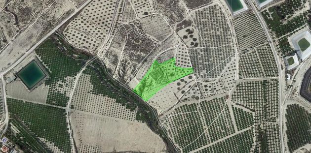 Foto 1 de Venta de terreno en Albudeite de 3354 m²