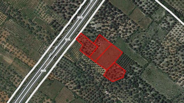Foto 1 de Venta de terreno en Ulldecona de 4286 m²