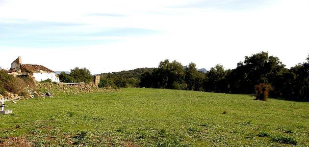 Foto 1 de Venta de terreno en Cortes de la Frontera de 13000 m²
