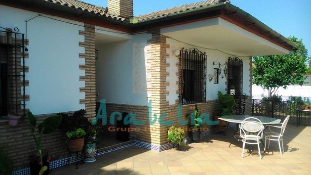 Foto 2 de Casa rural en venta en Cerro Muriano de 4 habitaciones con piscina