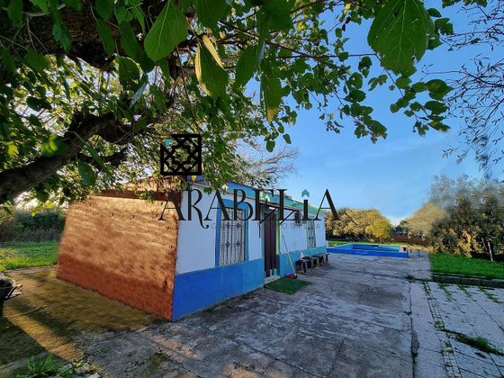 Foto 1 de Casa rural en venda a Alcolea de 3 habitacions amb terrassa i piscina