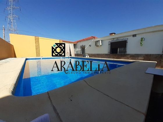 Foto 2 de Venta de casa rural en Alcolea de 4 habitaciones con piscina y jardín