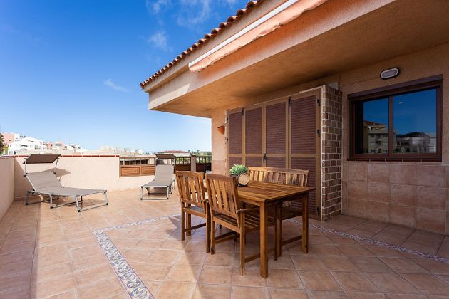 Foto 1 de Àtic en lloguer a Los Cristianos - Playa de las Américas de 3 habitacions amb terrassa i piscina