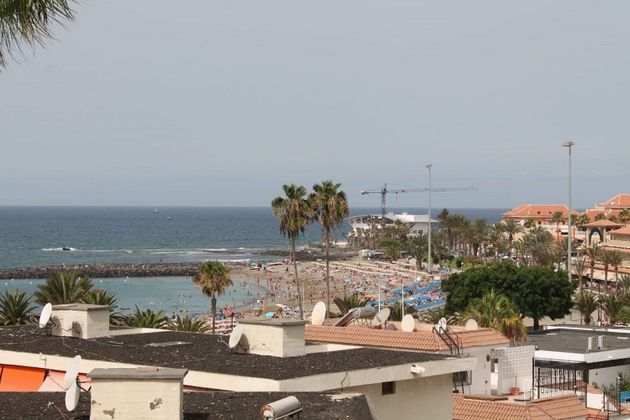 Foto 1 de Alquiler de piso en Los Cristianos - Playa de las Américas de 2 habitaciones con terraza y piscina