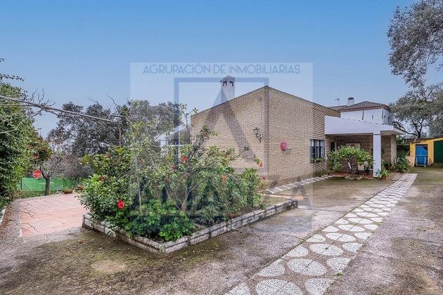 Foto 2 de Venta de chalet en Guillena de 4 habitaciones con piscina y jardín