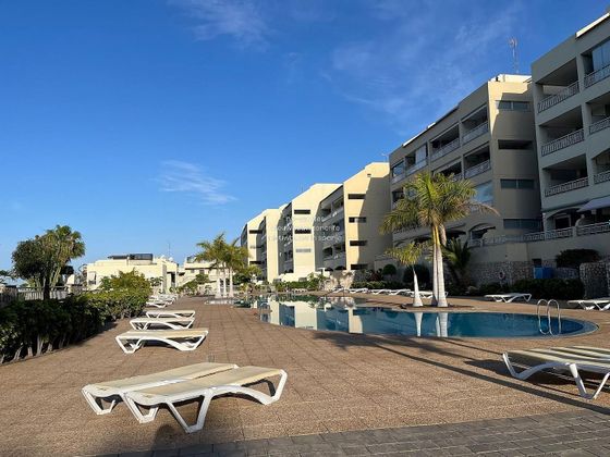 Foto 1 de Venta de piso en Palm - Mar de 1 habitación con terraza y piscina