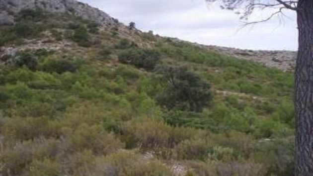 Foto 2 de Venta de terreno en Tivissa de 26623 m²