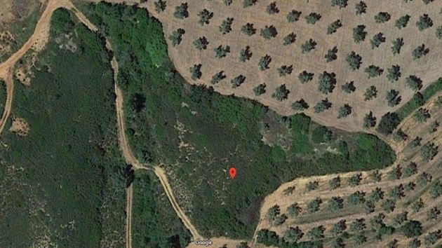 Foto 1 de Venta de terreno en Canet lo Roig de 41800 m²