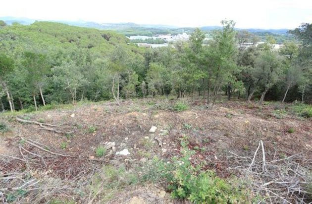 Foto 2 de Venta de terreno en Fogars de la Selva de 860 m²