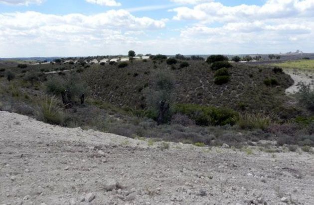 Foto 2 de Venta de terreno en Morata de Tajuña de 17278 m²