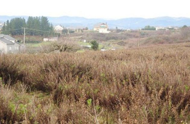 Foto 2 de Venta de terreno en Cabañas Raras de 1418 m²