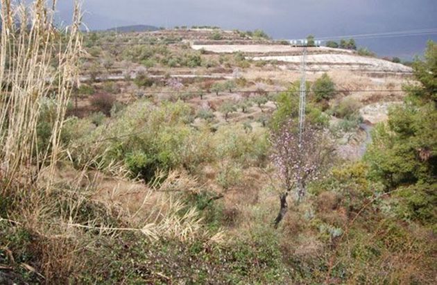 Foto 2 de Venta de terreno en Benillup de 4986 m²