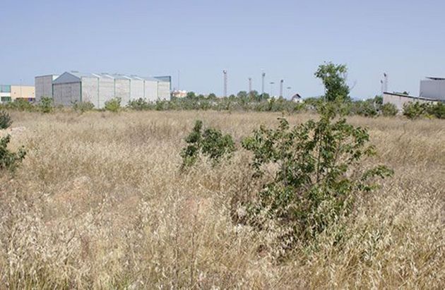 Foto 2 de Venta de terreno en Alcúdia (l´) de 1277 m²