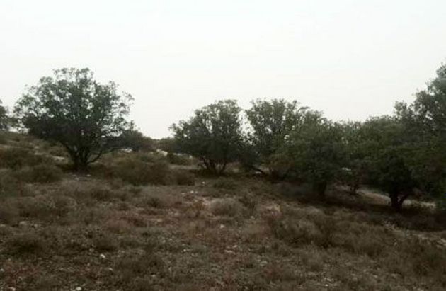 Foto 2 de Venta de terreno en Almaluez de 42560 m²